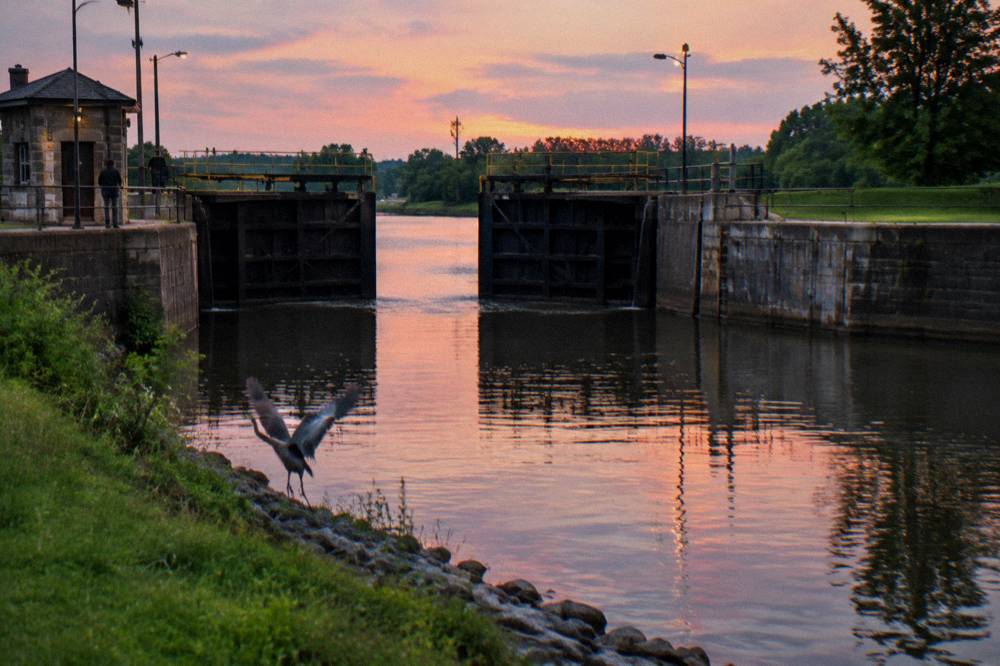 Lock chamber gates beginning to open at dusk with calm canal water beyond